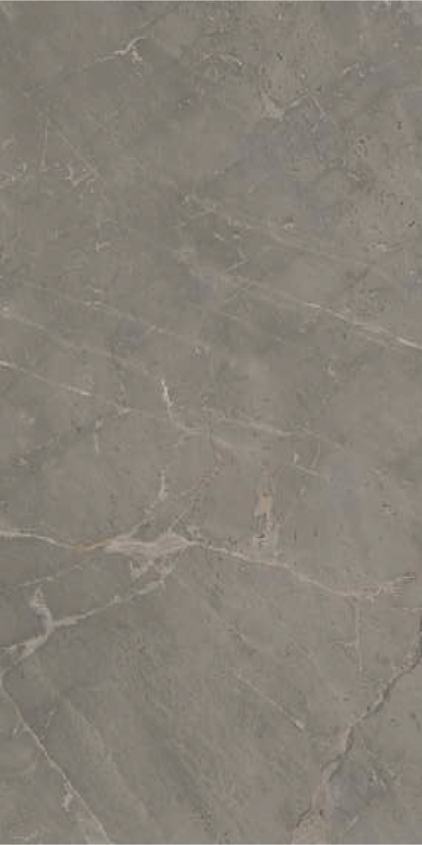 ANTHER GRISS- Matt Finish Tiles- 600x1200mm- Terra Forma Tiles